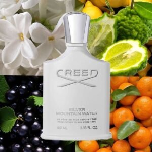 Creed Silver Mountain Water
